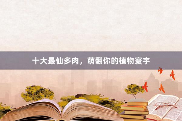 十大最仙多肉，萌翻你的植物寰宇